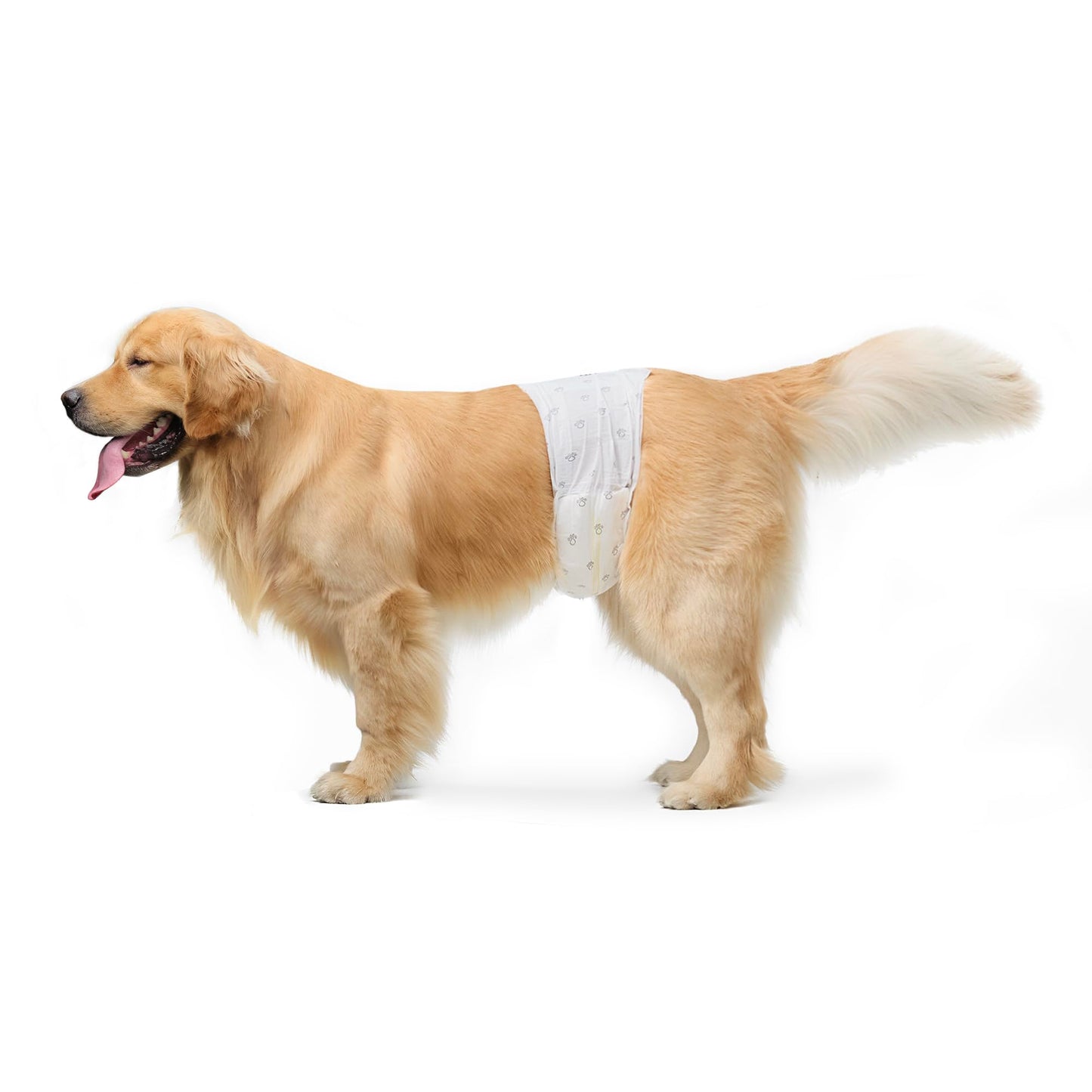 HOTAmazon Basics Absorbent, Leakproof Male Dog Wrap Disposable Diapers with Wetness Indicator, Breathable, Small, White, 50-Pack