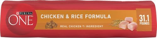 HOTPurina ONE Chicken and Rice Formula Dry Dog Food - 31.1 lb. Bag