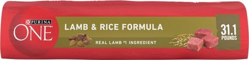 HOTPurina ONE Dry Dog Food Lamb and Rice Formula - 31.1 lb. Bag