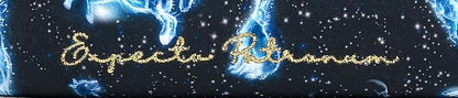 HOTLoungefly Harry Potter Expecto Patronus AOP Wallet | AOP