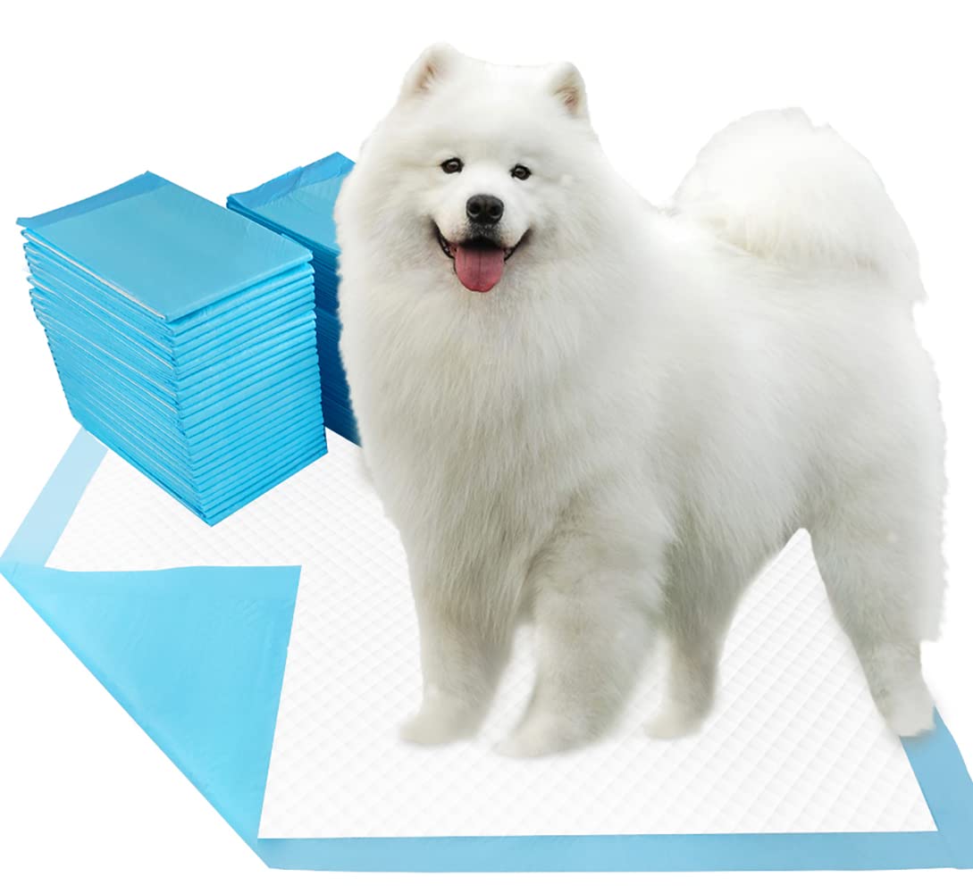 HOTDogcator Dog Pee Pads Extra Large 30"x36", 30 Count Super Absorbent Pee Pads for Dogs, Disposable Urine Bed Pads for Doggie, Thicken XXL Puppy Pads, Piddle Pads X-Large for Indoor, Outdoor Use