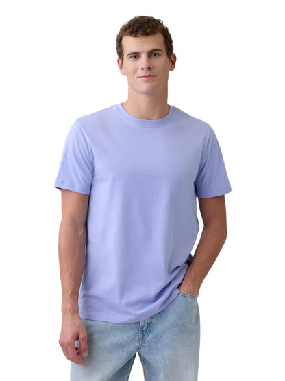HOTGap Mens Everyday Soft Crewneck T-Shirt Tee
