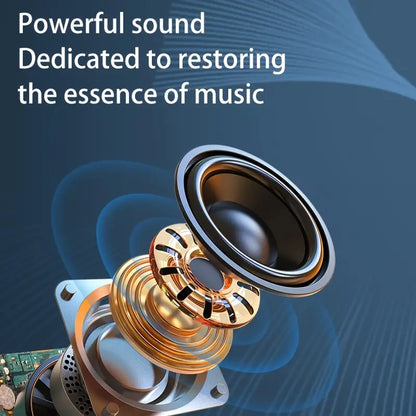 Subwoofer speaker cordless，10 hours of playback time
