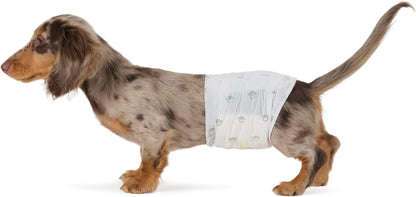 HOTAmazon Basics Absorbent, Leakproof Male Dog Wrap Disposable Diapers with Wetness Indicator, Breathable, Small, White, 50-Pack
