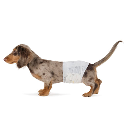 HOTAmazon Basics Absorbent, Leakproof Male Dog Wrap Disposable Diapers with Wetness Indicator, Breathable, Small, White, 50-Pack