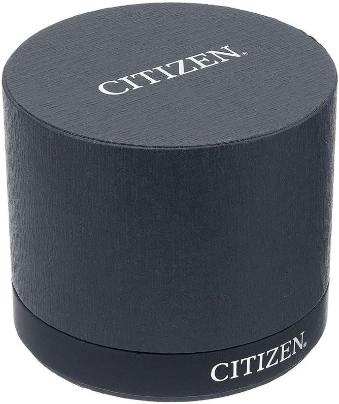 HOTCitizen Quartz Mens Watch, Stainless Steel, Classic
