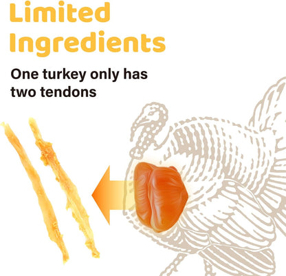 HOTiPaw Turkey Tendon for Dogs, All Natural Human Grade Puppy Chew, Strips | Single Protein, Hypoallergenic, Grain free, Rawhide Alternative Dog Treats, US-Sourced Turkey