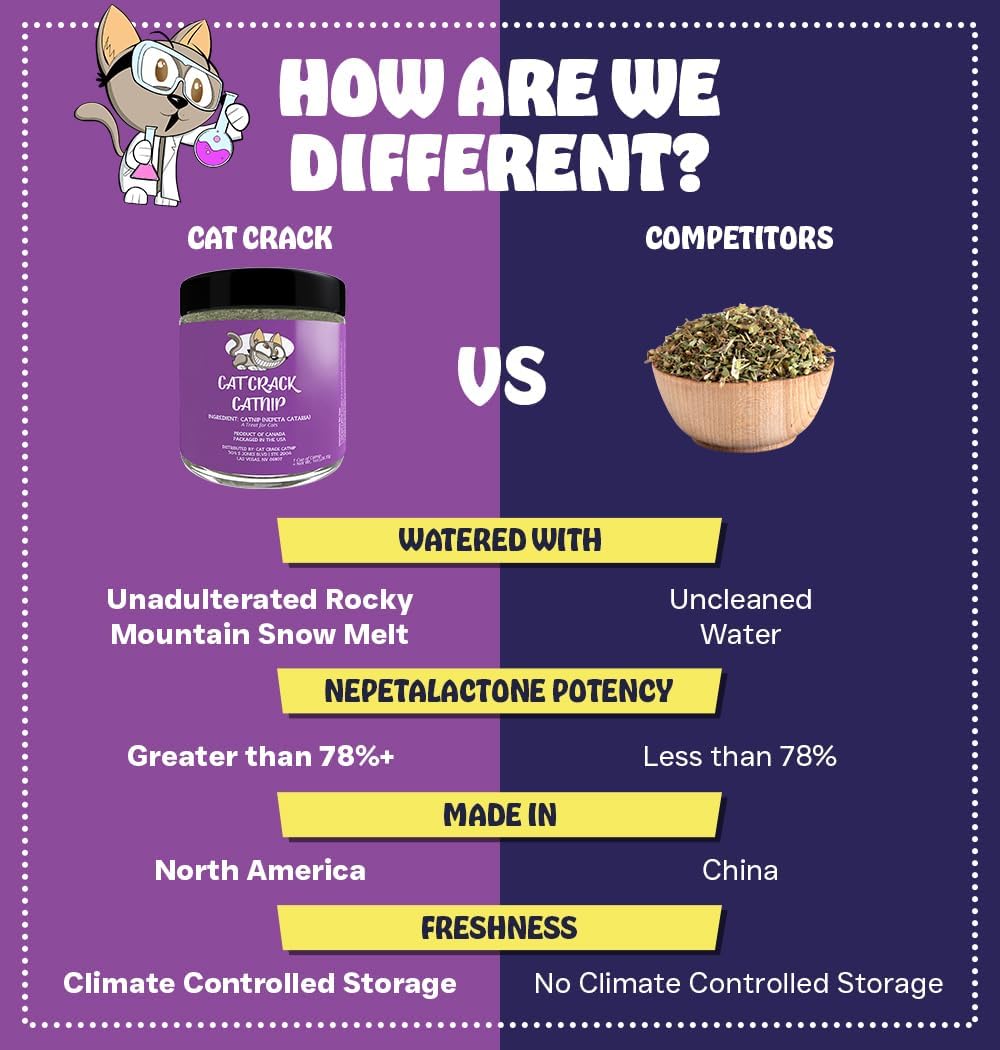 HOTCat Crack Catnip, Zoomie-Inducing Cat Nip, 100% Natural North American Made | 100% Natural, Safe & Non-Addictive Catnip Treats Used to Supplement Cat Nip Toys, Spray, & Accessories (1 Cup)