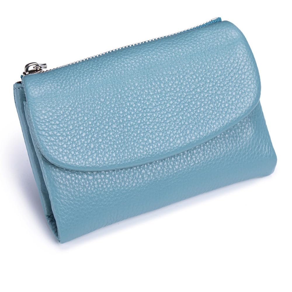 HOTLECDOA Unisex Pebble Leather Wallet, Short Genuine Leather Coin and Card Wallet, Small Wallets for Women, Suitable for Coins and Cards (#15)