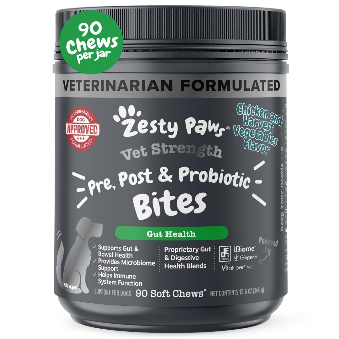 HOTZesty Paws Probiotics for Dogs - Digestive Enzymes for Gut Flora, Digestive Health, Diarrhea & Bowel Support - Clinically Studied DE111 - Dog Supplement Soft Chew for Pet Immune System - Pumpkin, 90ct