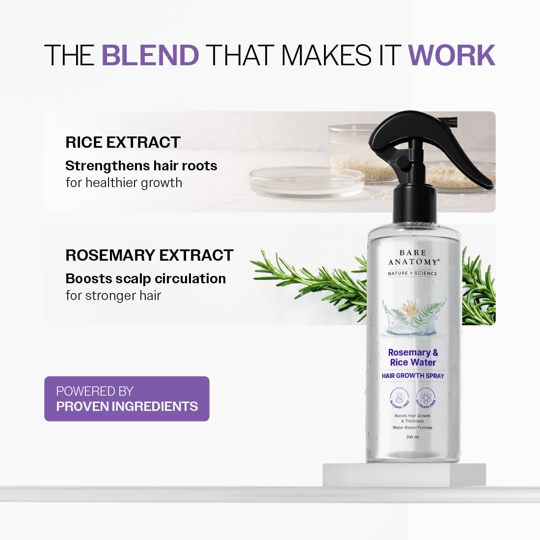 HOTBare Anatomy Nature x Science Rosemary Water Spray for Hair Growth & Hair Thickness with Rice Water |100% Natural Extract | Soft & Smooth Hair| Controls Hairfall| Non-Greasy & Fast Absorbing | 200ml