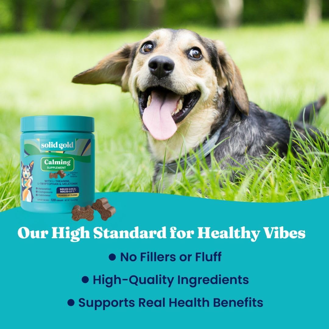 HOTSolid Gold Calming Chews for Dogs - Dog Calming Chews w/Melatonin for Separation, Stress & Hyperactivity Relief - Supports Relaxation for Travel, Fireworks & Storms - All Ages & Sizes - Bacon 120ct