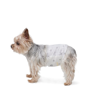 HOTAmazon Basics Absorbent, Leakproof Male Dog Wrap Disposable Diapers with Wetness Indicator, Breathable, Small, White, 50-Pack