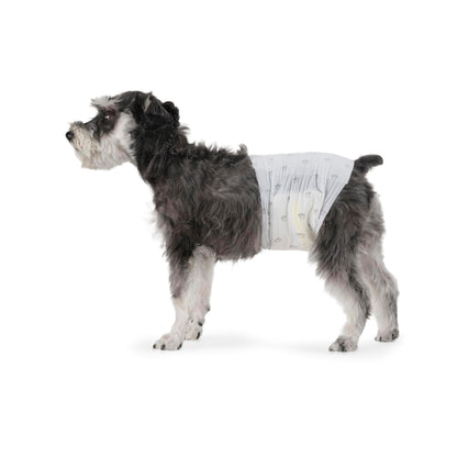 HOTAmazon Basics Absorbent, Leakproof Male Dog Wrap Disposable Diapers with Wetness Indicator, Breathable, Small, White, 50-Pack