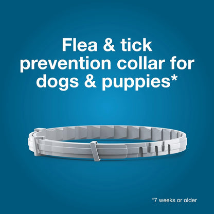 HOTSeresto Small Dog Vet-Recommended Flea & Tick Treatment & Prevention Collar for Dogs Under 18 lbs. | 8 Months Protection