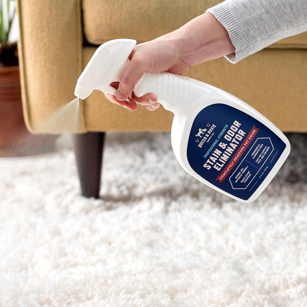 HOTRocco & Roxie Supply Co. Stain & Strong Odor Eliminator, Enzyme Cleaner, Pet Odor Eliminator for Home - Carpet Stain Remover for Cats & Dog Pee - Urine Destroyer - Carpet Cleaner Spray, 1-Gallon