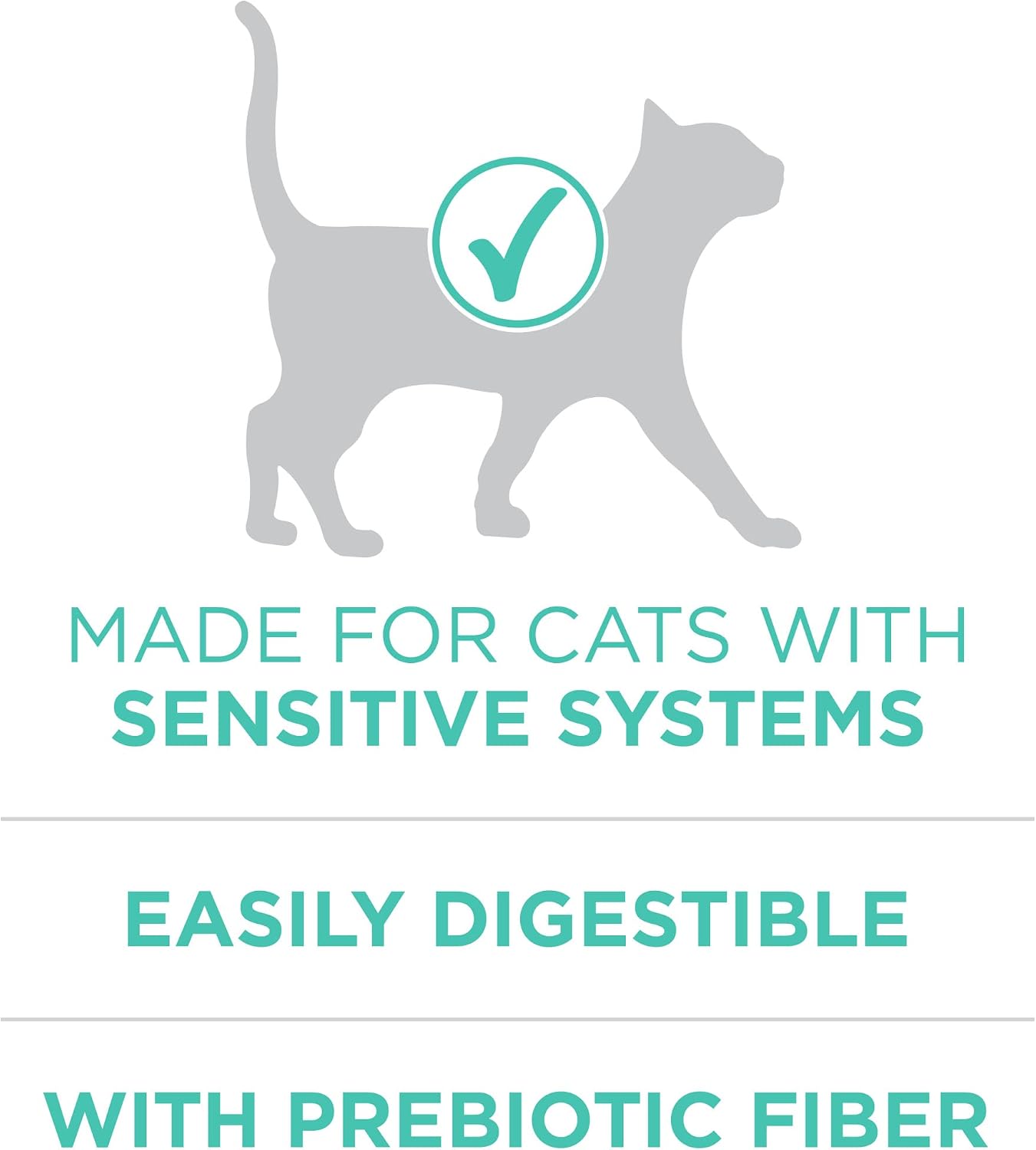 HOTPurina ONE Sensitive Stomach, Sensitive Skin, Natural Dry Cat Food, +Plus Sensitive Skin and Stomach Formula - 16 lb. Bag