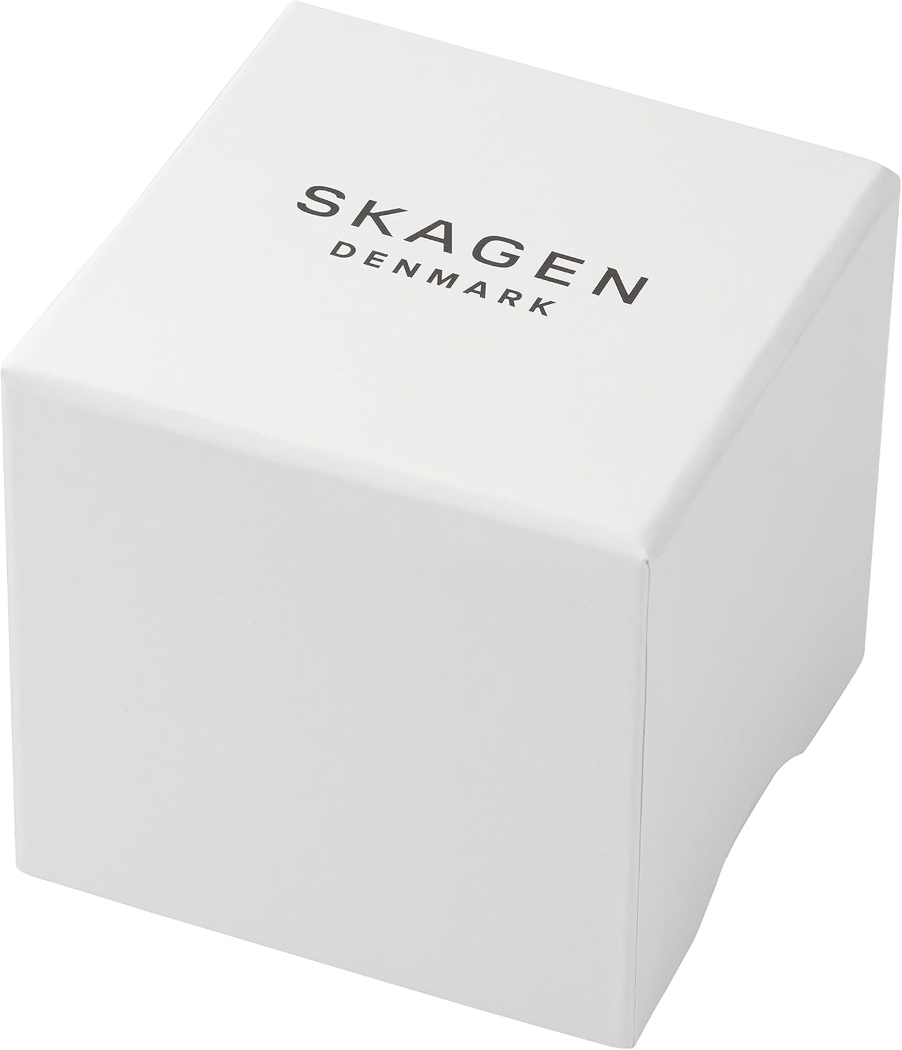 HOTSkagen Signatur Minimalist Stainless Steel Watch for Men