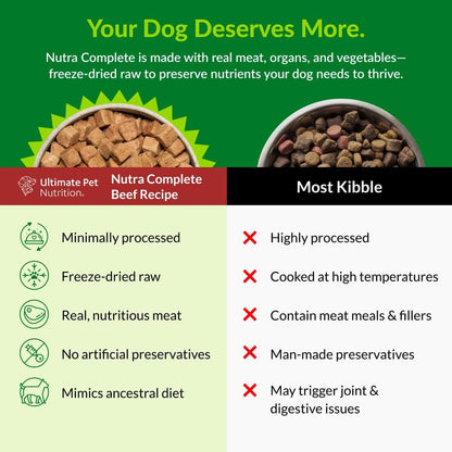 HOTULTIMATE PET NUTRITION Nutra Complete, 100% Freeze Dried Raw Veterinarian Formulated Dog Food with Antioxidants Prebiotics and Amino Acids (1 Pound, Beef)