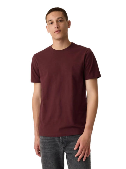 HOTGap Mens Everyday Soft Crewneck T-Shirt Tee