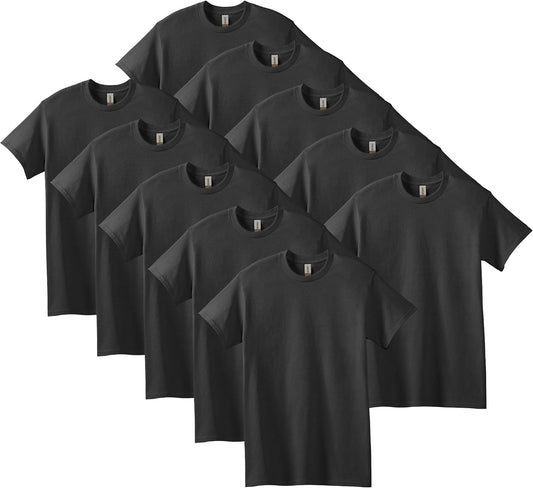 HOTGildan Adult Heavy Cotton T-Shirt, Style G5000