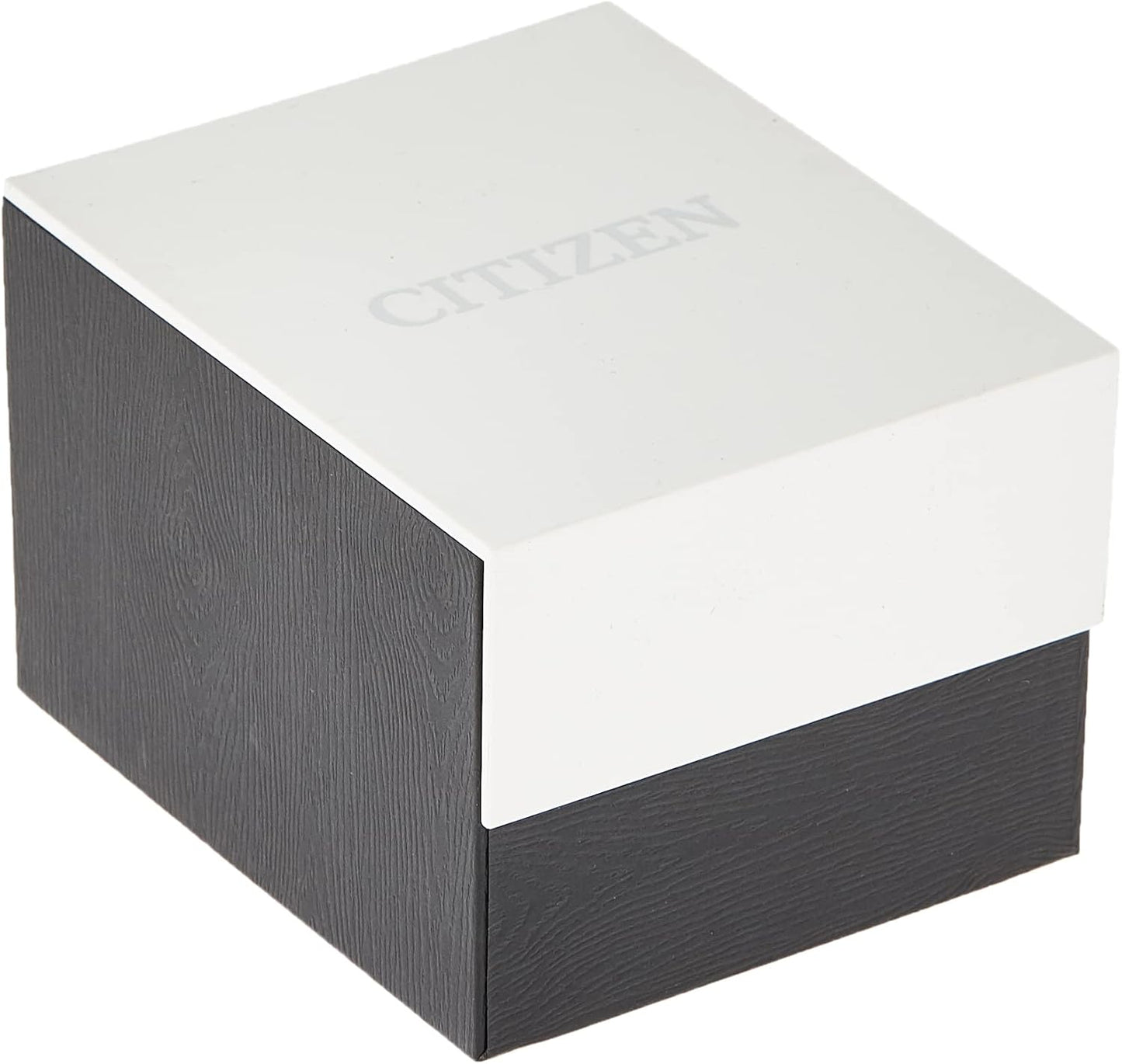 HOTCitizen Quartz Mens Watch, Stainless Steel, Classic