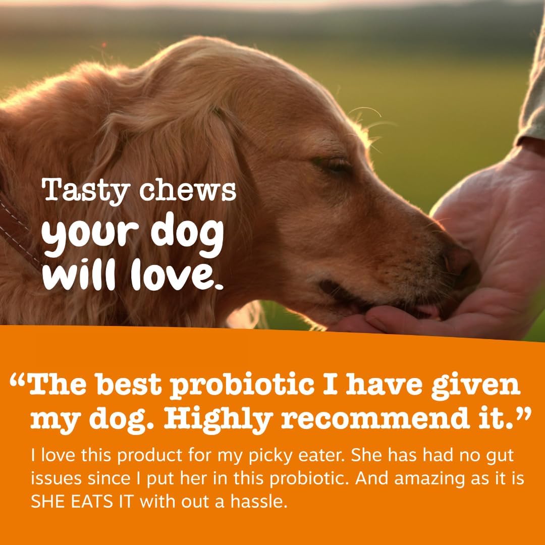 HOTZesty Paws Probiotics for Dogs - Digestive Enzymes for Gut Flora, Digestive Health, Diarrhea & Bowel Support - Clinically Studied DE111 - Dog Supplement Soft Chew for Pet Immune System - Pumpkin, 90ct