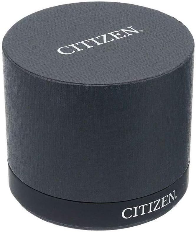 HOTCitizen Quartz Mens Watch, Stainless Steel, Classic