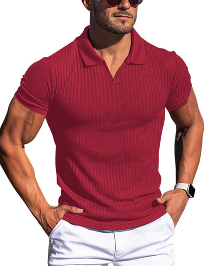 HOTMen's Muscle V Neck Polo Shirts Slim Fit Short Long Sleeve Cotton Golf T-Shirts Ribbed Knit Soft Tees