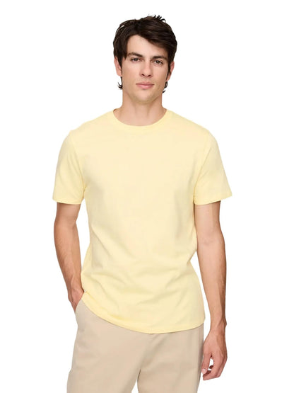 HOTGap Mens Everyday Soft Crewneck T-Shirt Tee