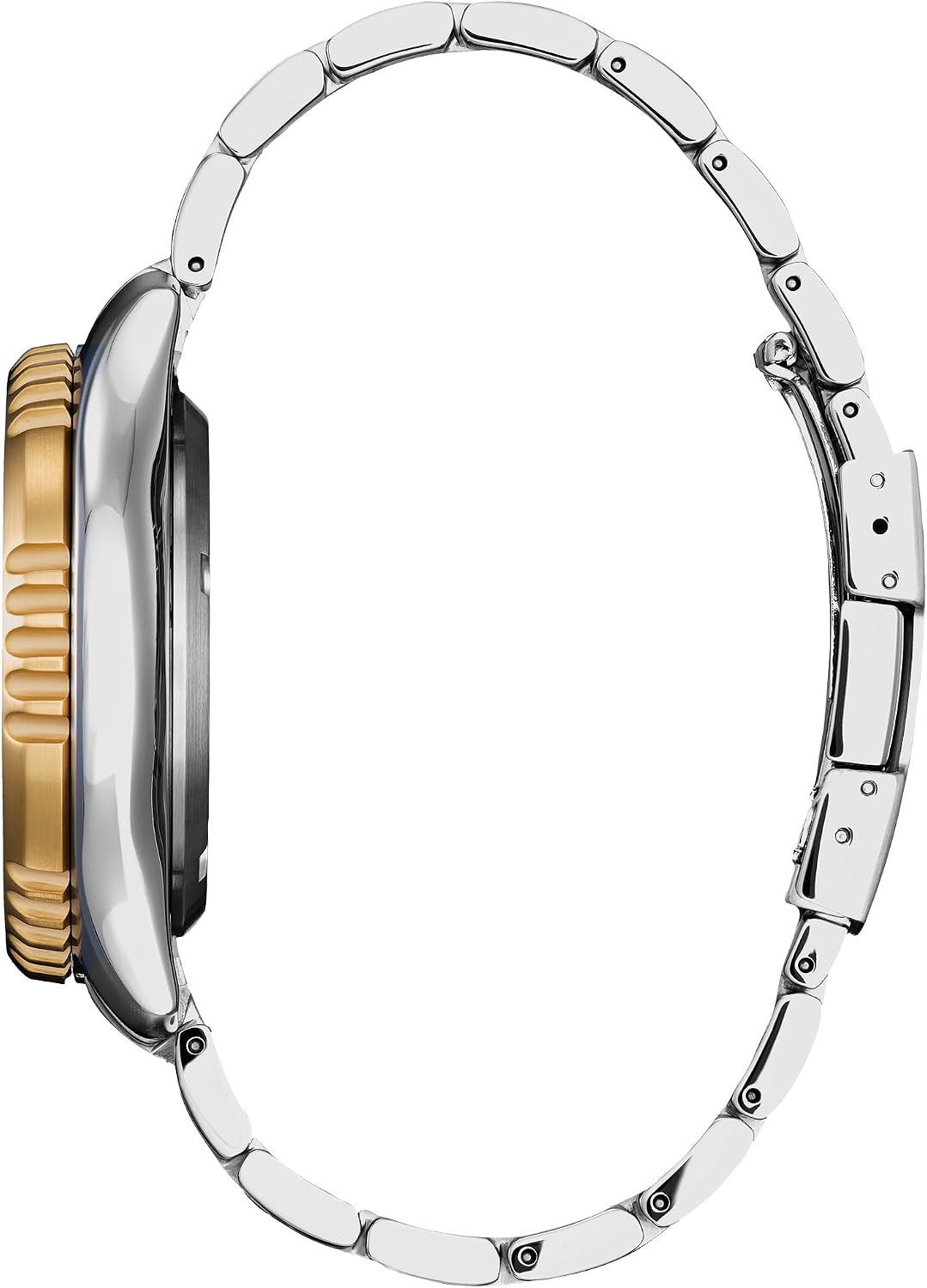 HOTCitizen Men's Promaster Dive Fugu