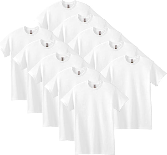 HOTGildan Adult Heavy Cotton T-Shirt, Style G5000