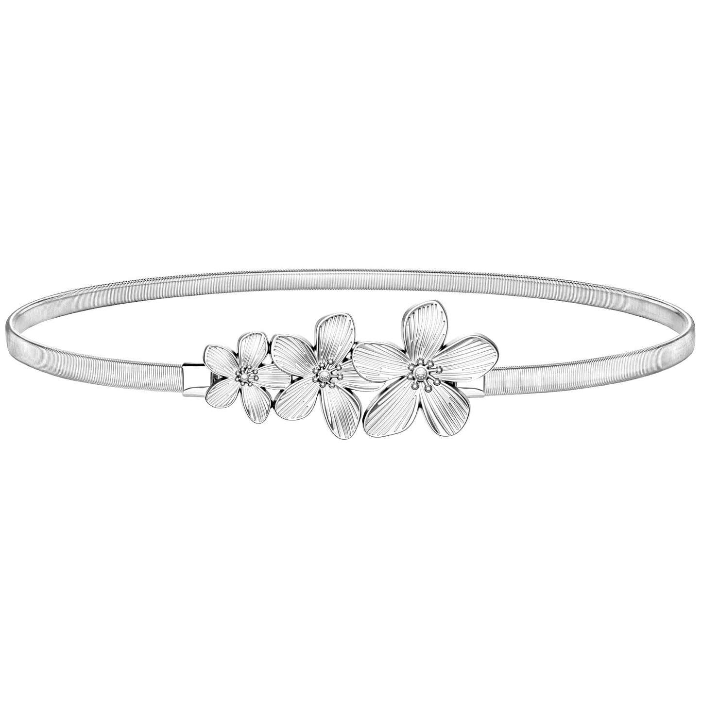 HOTVONMELLI Skinny Metal Cinch Belt for Dress Stretch Thin Waist Belt for Women Gold/Silver