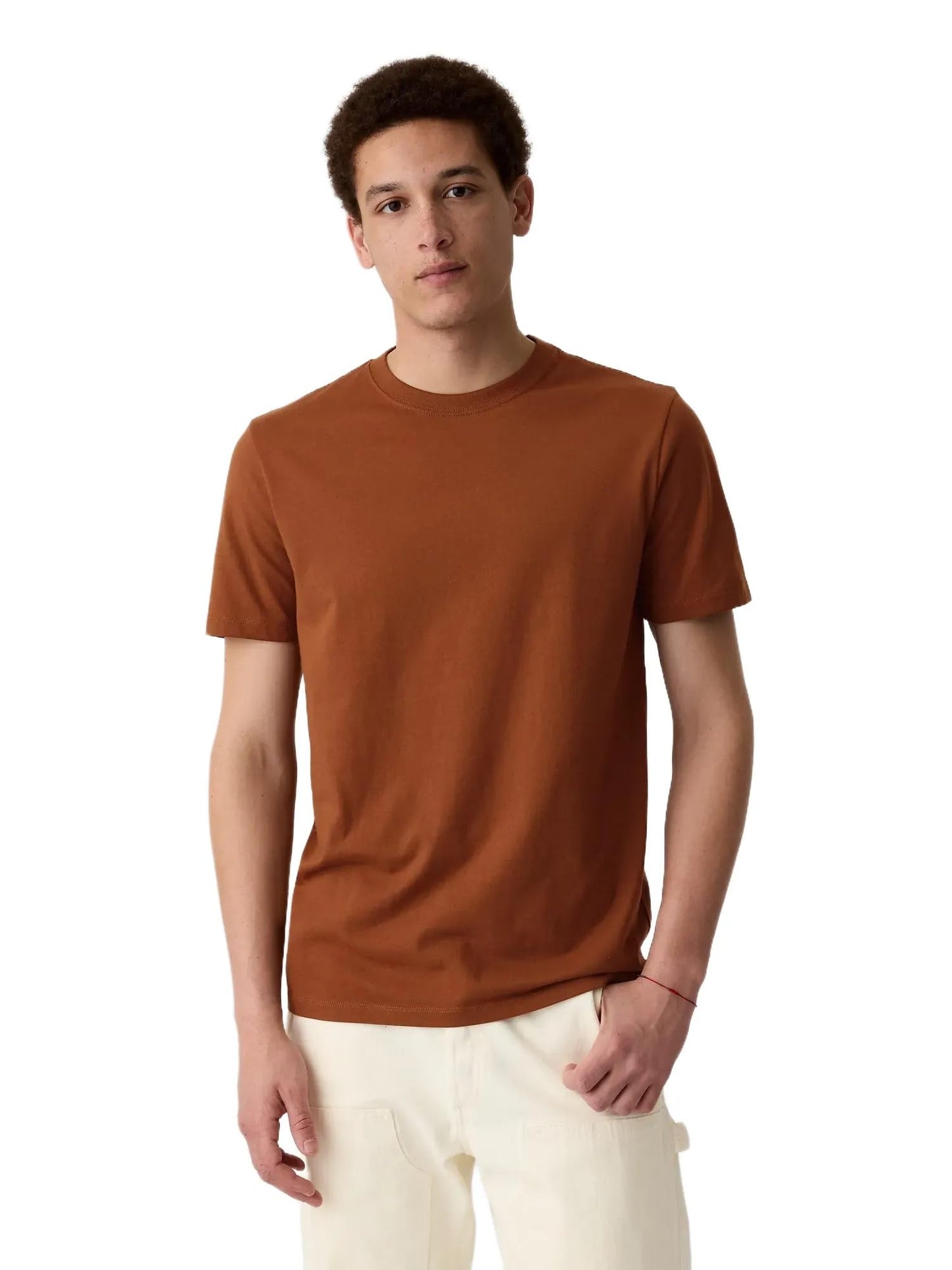 HOTGap Mens Everyday Soft Crewneck T-Shirt Tee