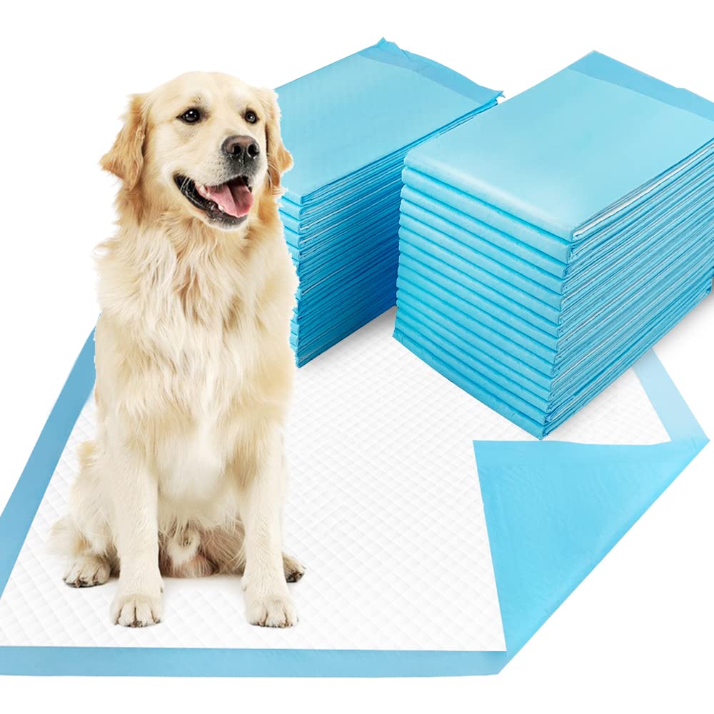 HOTDogcator Dog Pee Pads Extra Large 30"x36", 30 Count Super Absorbent Pee Pads for Dogs, Disposable Urine Bed Pads for Doggie, Thicken XXL Puppy Pads, Piddle Pads X-Large for Indoor, Outdoor Use