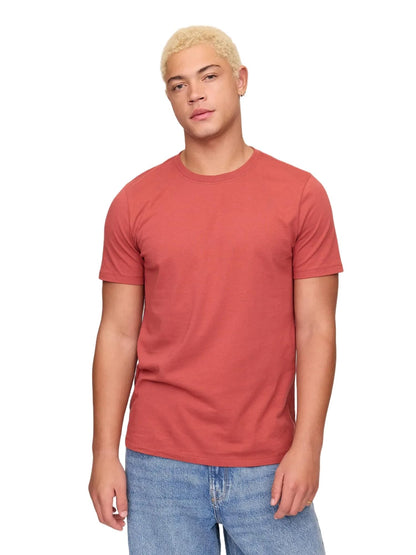 HOTGap Mens Everyday Soft Crewneck T-Shirt Tee