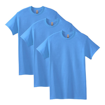 HOTGildan Adult Heavy Cotton T-Shirt, Style G5000