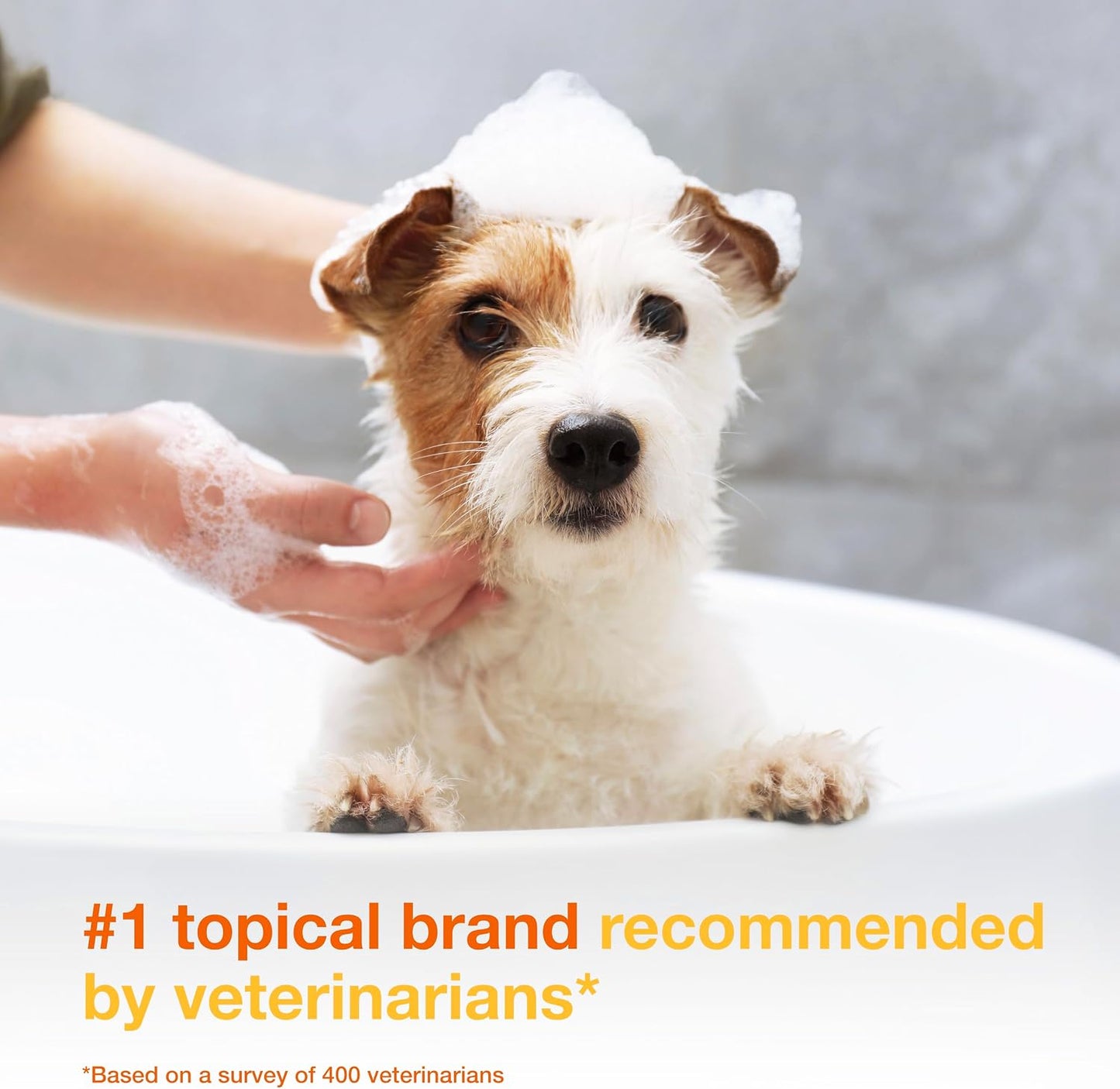 HOTDouxo S3 PYO Medicated Dog Shampoo with 3% Chlorhexidine for Dogs – Antibacterial & Antiseptic Yeast Infection Treatment For Dogs & Cats, Clinically Proven, 6.7 fl oz | Antibacterial & Antiseptic Yeast Infection Treatment For Dogs & Cats, Clinically Pr