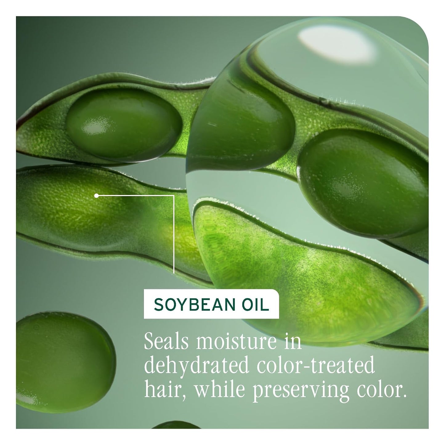 HOTBiolage Color Last Shampoo - For Color-Treated Hair, Gently Cleanses, Nourishes, Strengthens, Hydrates and Adds Shine, Soybean Oil & Stearic Acid, Paraben & Mineral Oil-Free, Vegan