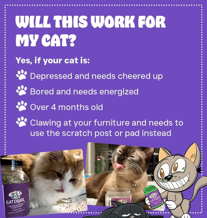 HOTCat Crack Catnip, Zoomie-Inducing Cat Nip, 100% Natural North American Made | 100% Natural, Safe & Non-Addictive Catnip Treats Used to Supplement Cat Nip Toys, Spray, & Accessories (1 Cup)