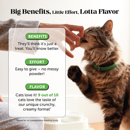 HOTCat Hairball Remedy Treats - Dual Texture Crunchy Creamy Hairball Treatment for Cats, Furball Relief Control Supplement with Fiber, Fish Oil for Indoor Cats Skin Coat Digestion (30-Day Supply)