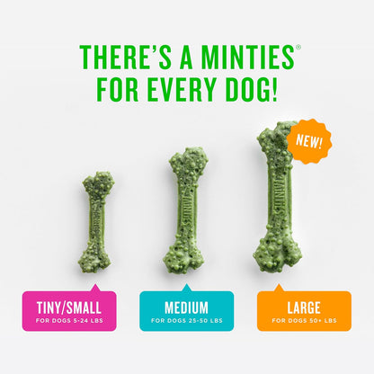 HOTMinties Dental Chews for Dogs, 40 Count, Vet-Recommended Mint-Flavored Dental Dog Treats for Medium Dogs, Bones Clean Teeth, Fight Bad Breath, and Removes Plaque and Tartar