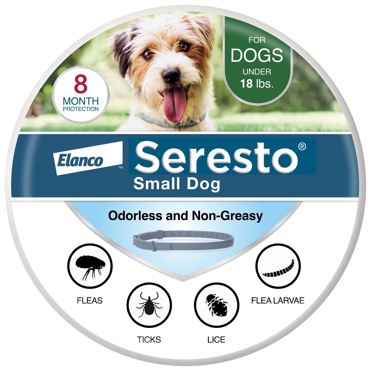 HOTSeresto Small Dog Vet-Recommended Flea & Tick Treatment & Prevention Collar for Dogs Under 18 lbs. | 8 Months Protection