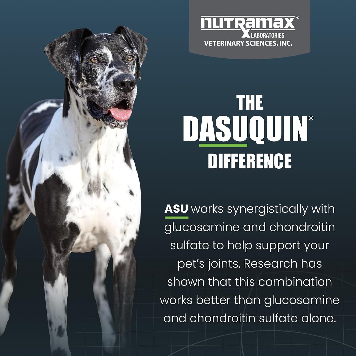 HOTNutramax Dasuquin MSM Joint Supplement for Large Dogs, Soft Chews, 84ct | Glucosamine and Chondroitin, ASU, MSM, Supports Healthy Joints, For Dogs Over 60 lbs, All Ages, Soft Chews
