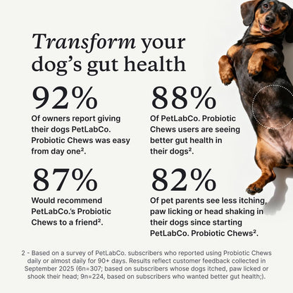 HOTPetLab Co. Probiotic Chews for Dogs, 30 Soft Chews, Salmon | 8-strain probiotic blend with prebiotics to support digestive health, skin and seasonal allergy support
