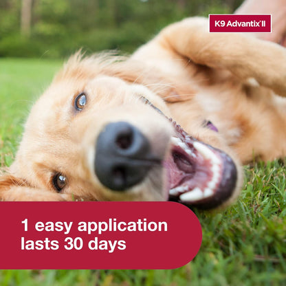HOTK9 Advantix II Large Dog Vet-Recommended Flea, Tick & Mosquito Treatment & Prevention | Dogs 21-55 lbs. | 2-Mo Supply (Packaging may vary)