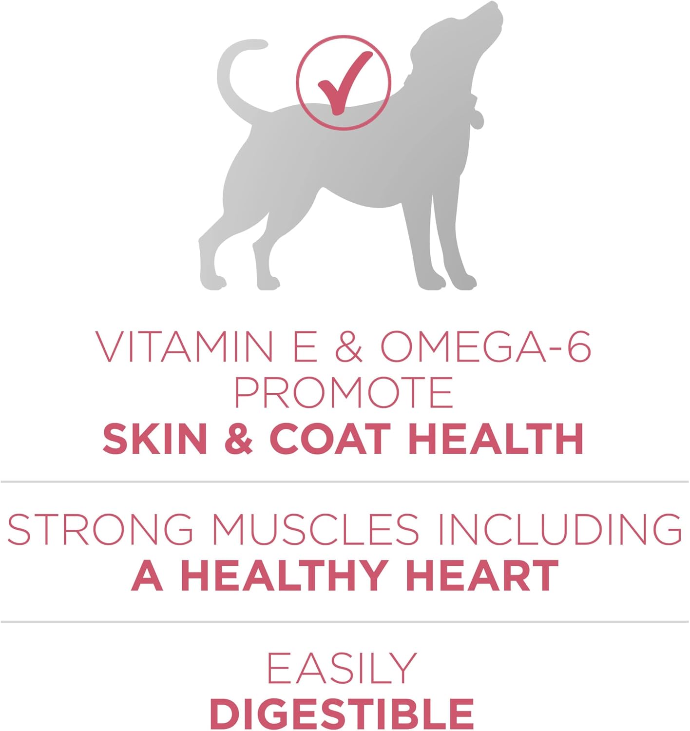 HOTPurina ONE Natural, Sensitive Stomach Dry Dog Food, +Plus Skin & Coat Formula - 31.1 lb. Bag