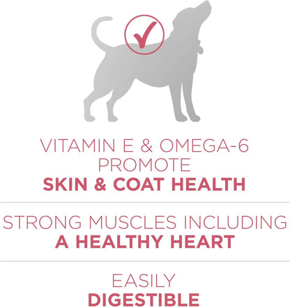 HOTPurina ONE Natural, Sensitive Stomach Dry Dog Food, +Plus Skin & Coat Formula - 31.1 lb. Bag