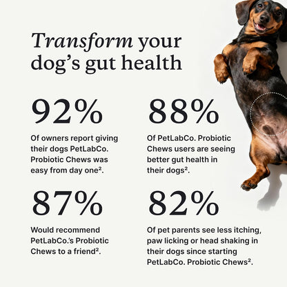 HOTPetLab Co. Probiotic Chews for Dogs, 30 Soft Chews, Pork | 8-strain probiotic blend with prebiotics to support digestive health, skin and seasonal allergy support