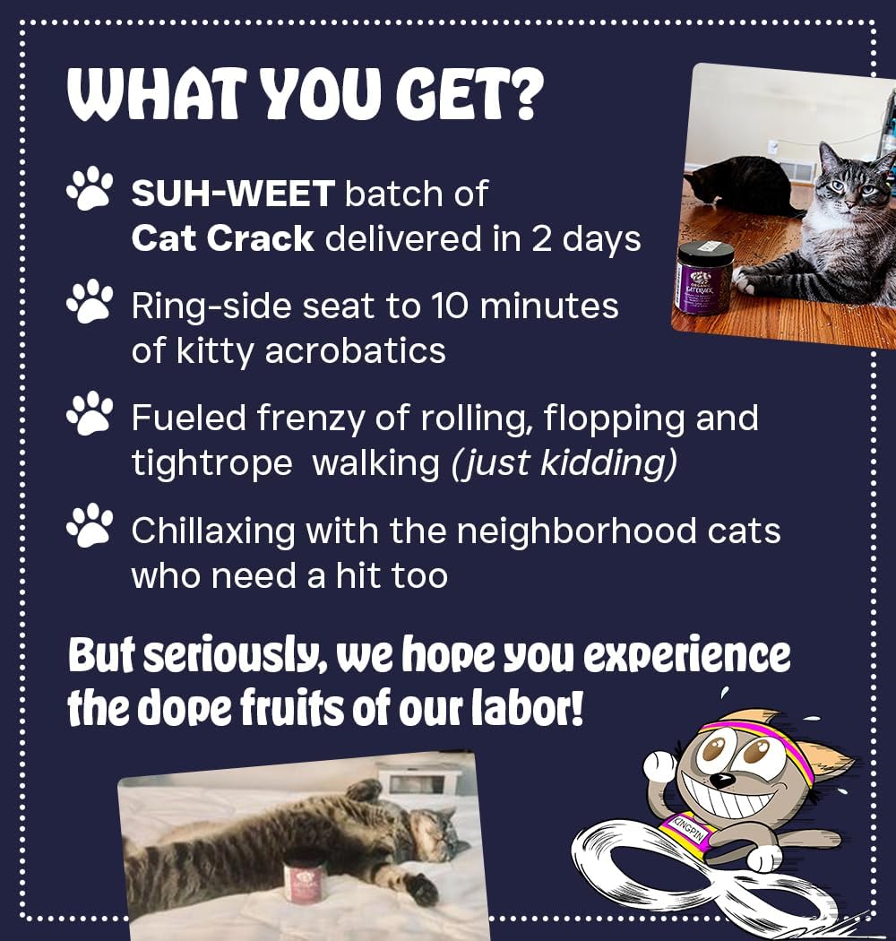HOTCat Crack Catnip, Zoomie-Inducing Cat Nip, 100% Natural North American Made | 100% Natural, Safe & Non-Addictive Catnip Treats Used to Supplement Cat Nip Toys, Spray, & Accessories (1 Cup)